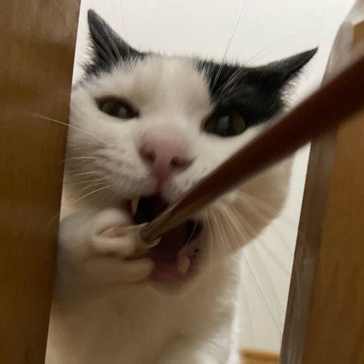 5bac4bd1 8857 4ac1 8a4c db887a4f3406 1594212521522