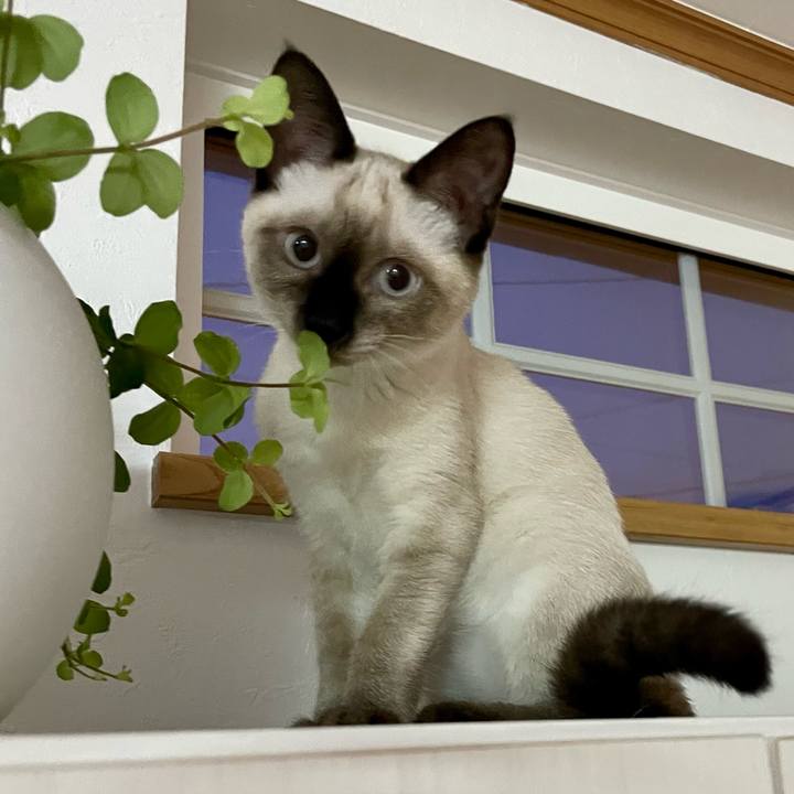 5bacad0f cbe1 4a6f 8ce4 d316e6302597 1692128332823