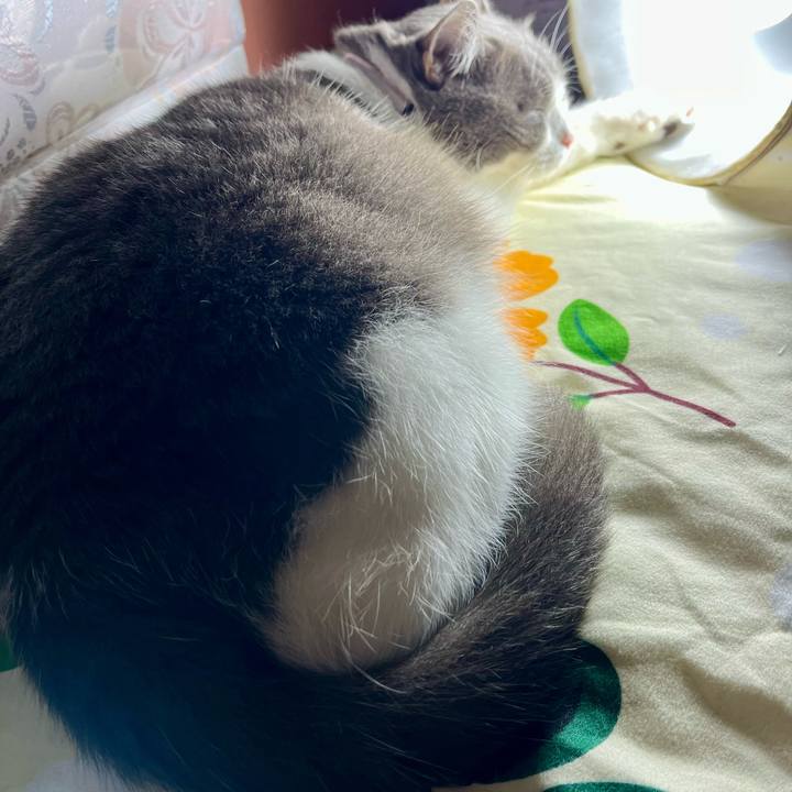 5baccc1a 9659 4f44 8f0e 1d3e8a02daab 1763067769627