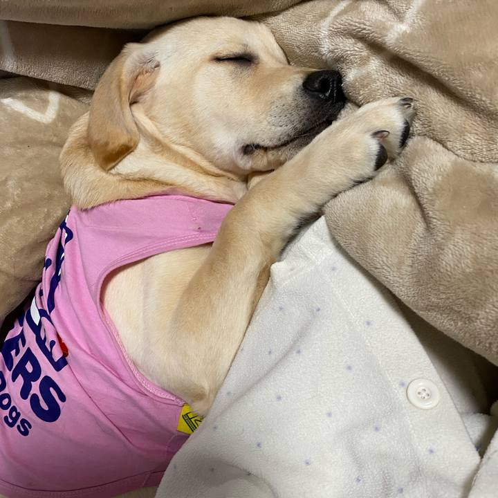 5bace85a ec9d 4532 883c 83d0ae9ce3ec 1616063175300