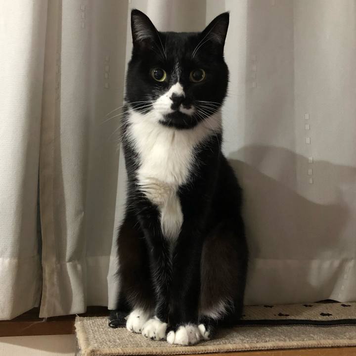 5bace8ea 39f4 4a33 96c6 7203d5642ce9 1609479707189