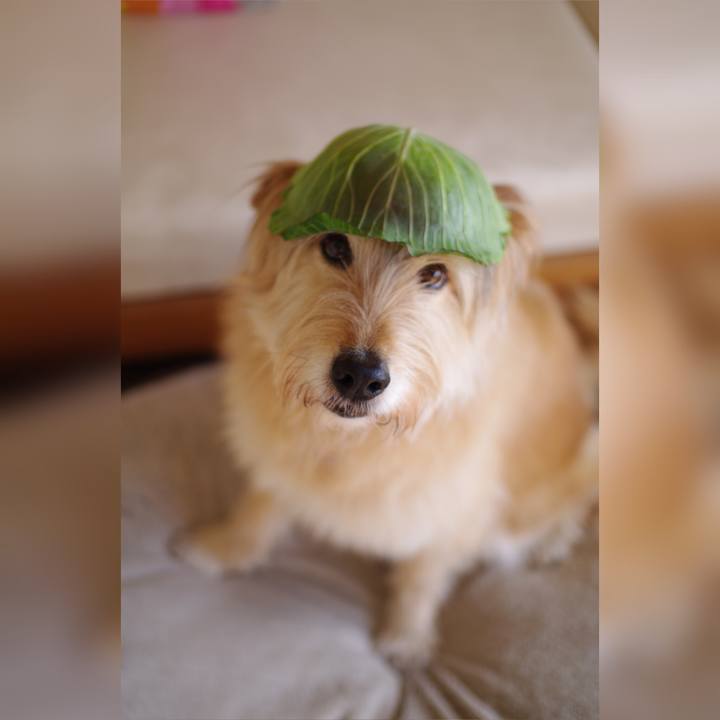 5baced83 a855 427c 9914 ec3aee7fd22d 1616722137453