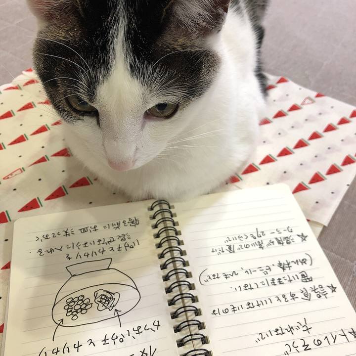 5bad09d2 807d 4893 b1e2 5b72ee23c907 1655816534746