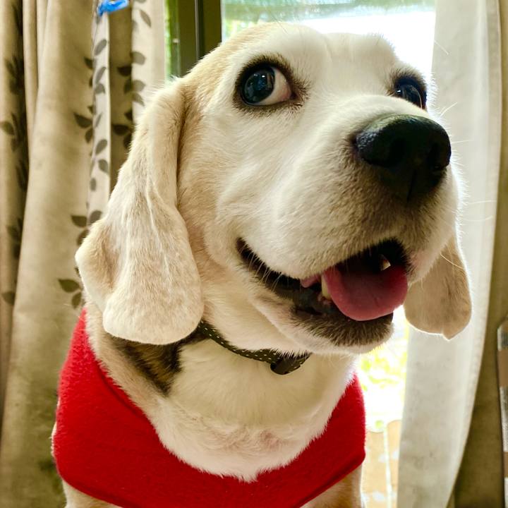 5bad0b75 5ae8 4dbf 848f f4b48376ef86 1646710932519