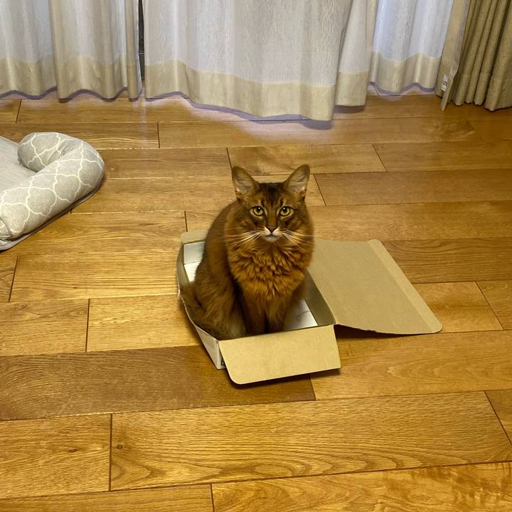 5bad174a c710 4956 96cc 929e1dc48c6f 1697888897677