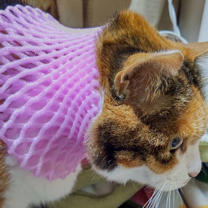 5bad27e6 3b1f 46b2 b45a 7595eac66d82 1634119633510