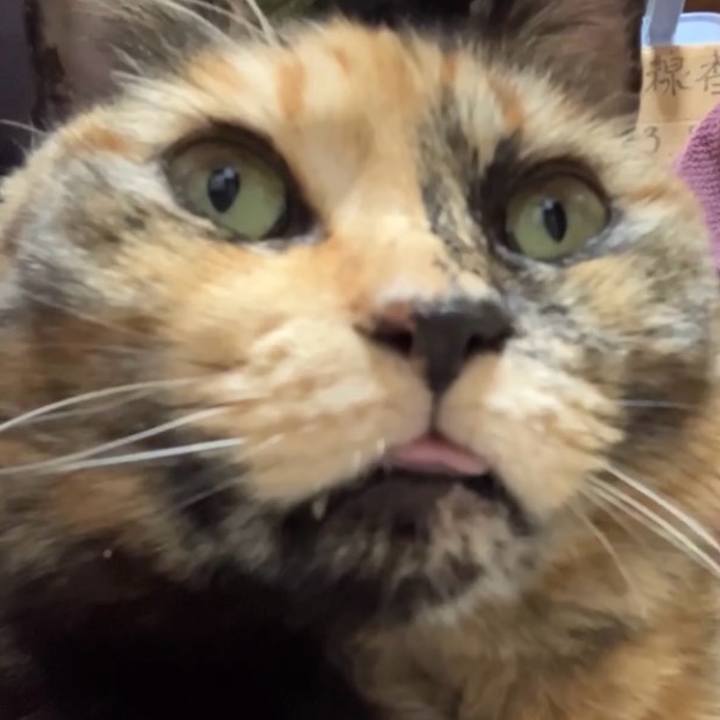 5bad77c4 2688 4a6a 8c51 8965b7b506b6 1738662521010