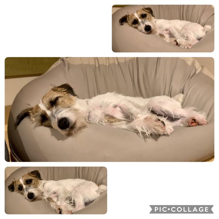 5bad7ef6 1512 4760 a4d8 50760610ed9a 1607261741752