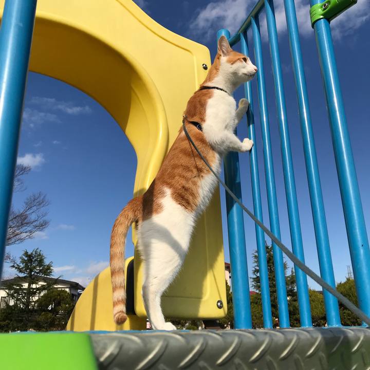 5badc98f d2f6 4f0f 9fb8 f4f217d89790 1511692726802