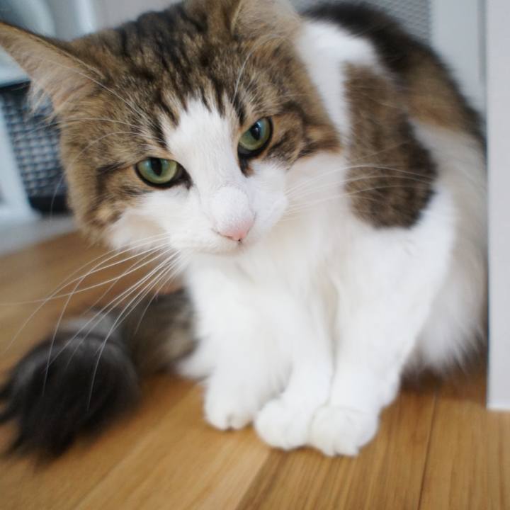 5badcff9 ae48 465a 833b 7680faccd986 1539242014931