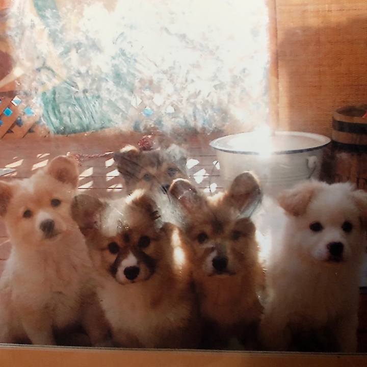 5bae1601 55f6 4ebb b738 053e1ebd5372 1531398189090