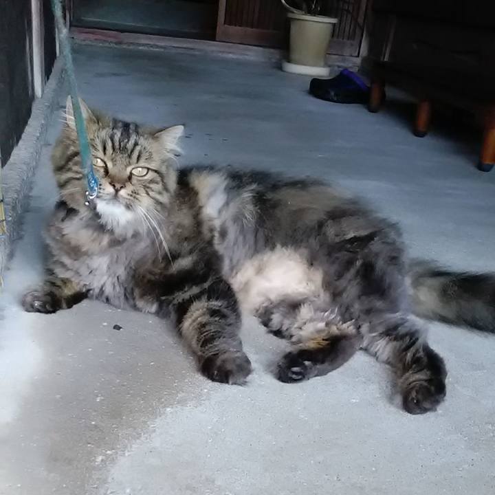 5bae163c cdaf 4df2 8cbf 0bac7bde046c 1626822134377