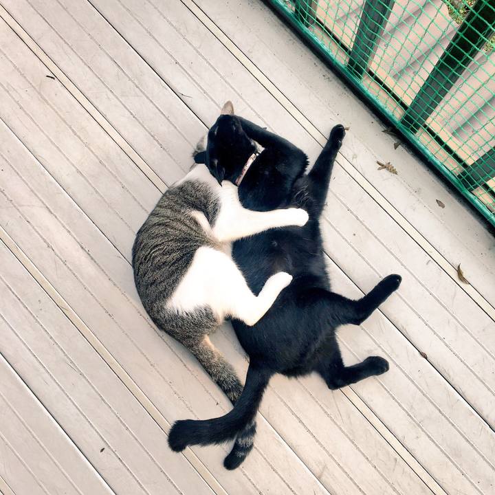 5bae2e76 3617 4d0d 86a1 fc5fc19149e6 1510100411715