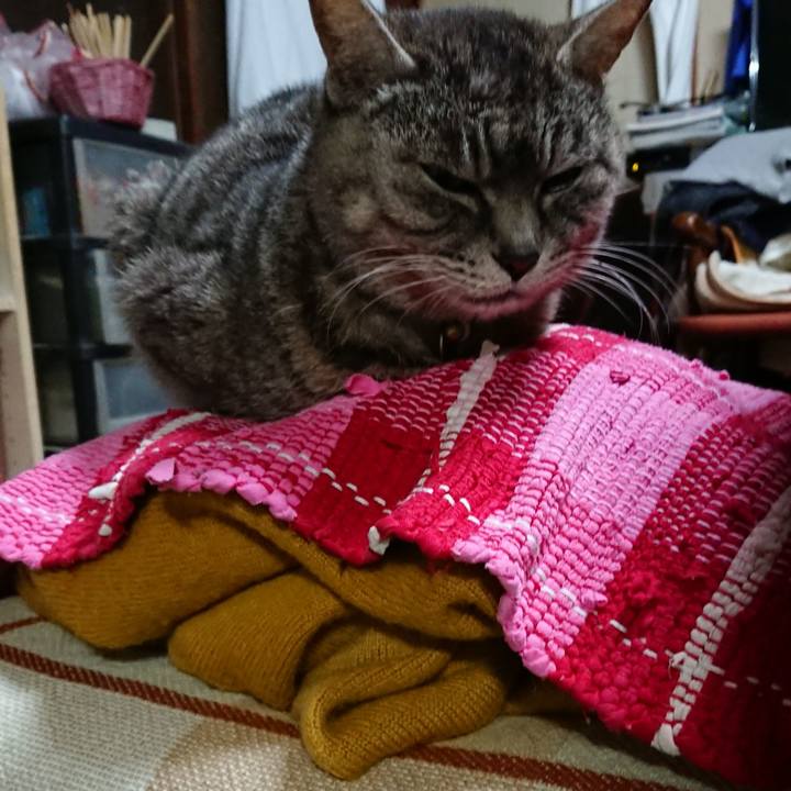 5bae5982 cc0d 4dca be51 3dafea55a083 1552296091100