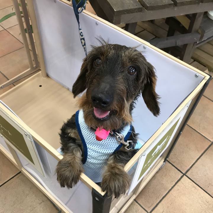 5bae7846 5f73 47f9 9dfb 50085fb8501c 1531037903925