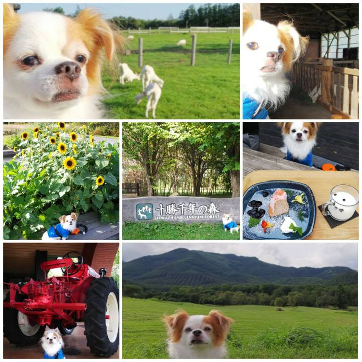 5bae835d 517d 4445 8cea 67b5c7a71384 1535874327355