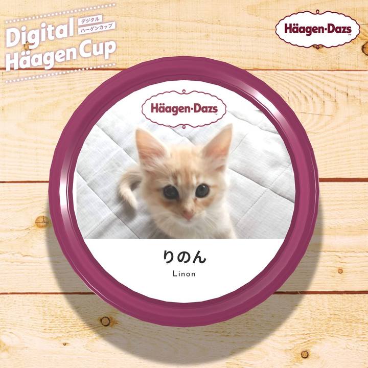 5bae8c30 49dc 4dca 9d82 9a15b1d6aca9 1607466996526