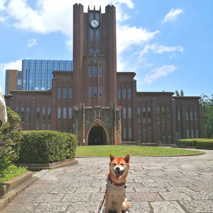 5bae93cc c740 4cb6 a0fe 5b45151507e6 1653304714344