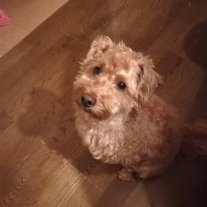 5bae9cdd 9fb8 48e3 b2a3 1133a595a670 1530102359043