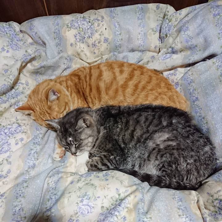 5baf22e6 d078 4996 8e78 7b902169e501 1582977651108