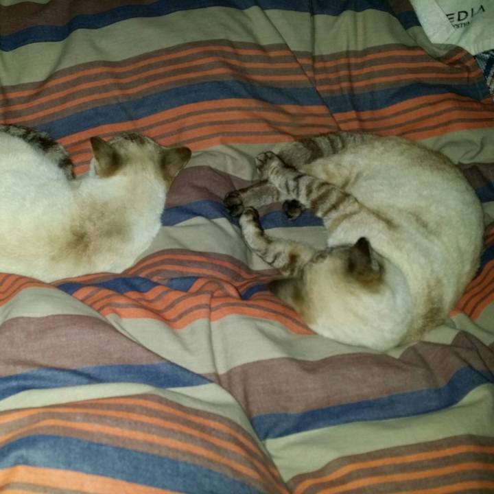 5baf31d9 cc03 4ef6 8662 88d02d252326 1521730676252