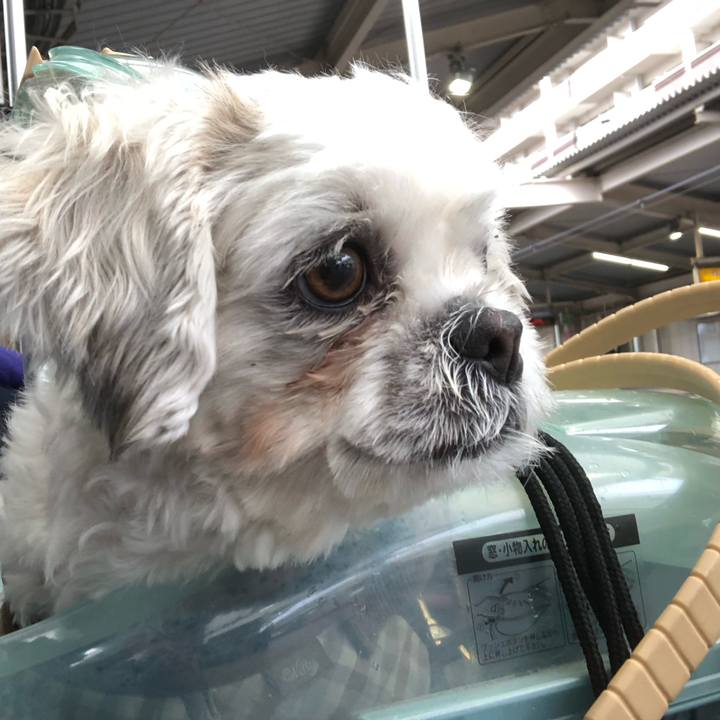 5baf5498 af93 4b45 9982 3694130a5e61 1704404894298