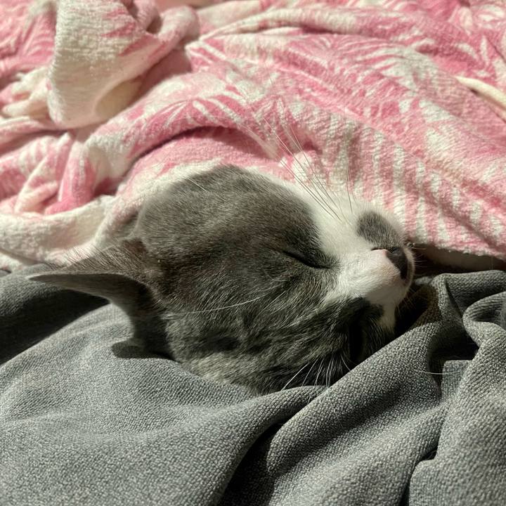 5baf7d1b da6c 4342 a8b3 7b7c1cc0671a 1650977749915