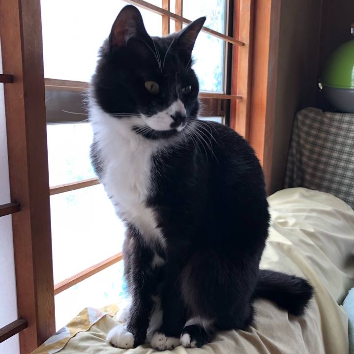 5baf9982 2ffc 4744 9b07 6de66a03af67 1590983108952