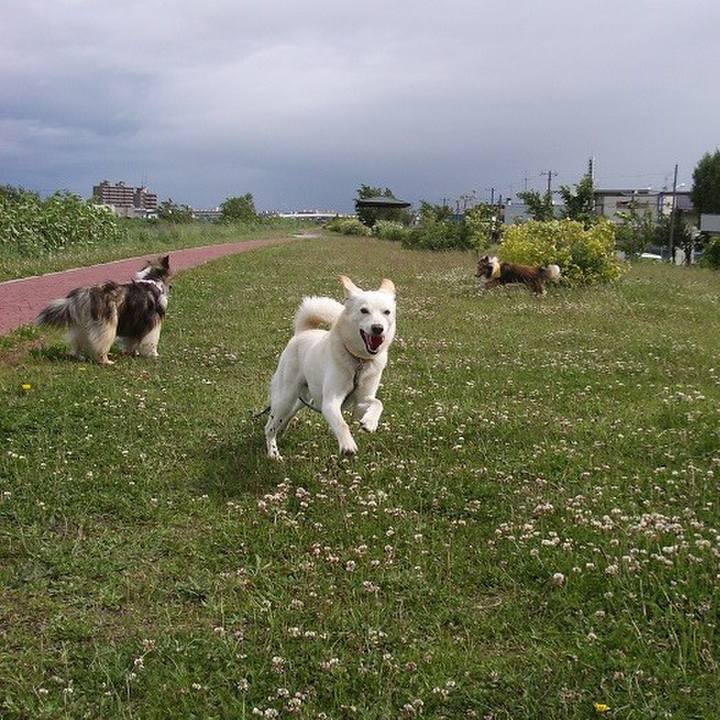 5bafa538 6662 49b2 bdf8 e4b63f442372 1527168197994