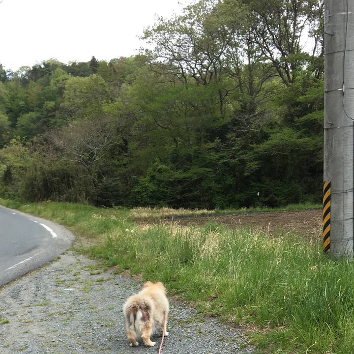 5bafacc2 5981 4f94 8ff6 4f5d0a1a1acc 1574575799231