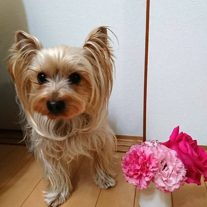 5bafbd68 988d 4708 a6dd fd4d890f7353 1551393992867