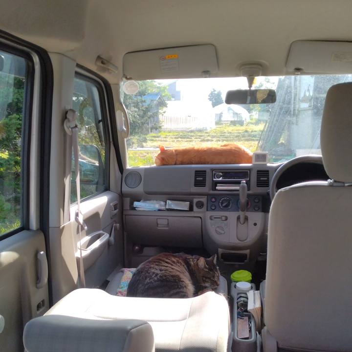 5bb01997 3e39 4849 9dab 282b9d812970 1715934013096