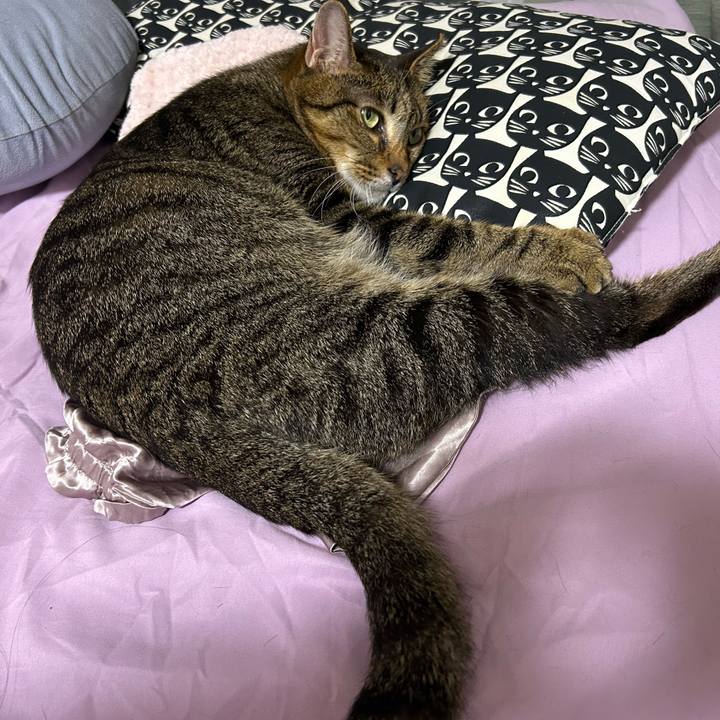 5bb01cc9 d665 48b5 82eb 67e054e60805 1730296282946