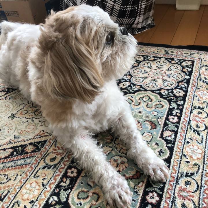 5bb03298 44c9 4891 8ddb f059ae23e58b 1551505875827