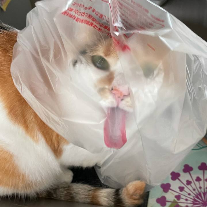 5bb05bcd 723d 403f 92d4 aecb322e9b30 1624677377809