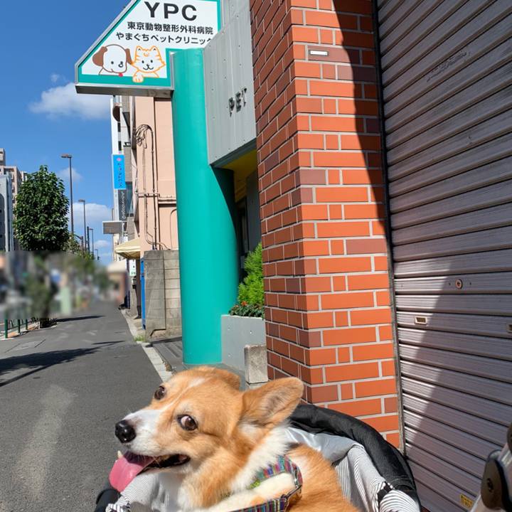 5bb07094 afc6 4a0c 9ebc 5c3273c32a61 1690070386518