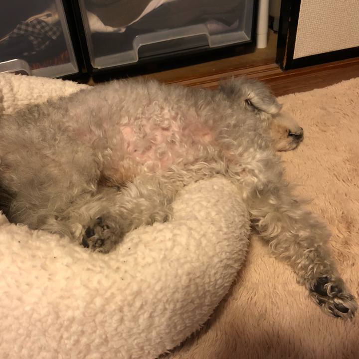 5bb0a27d f9ac 4aed a9e7 b6465f413cf4 1586766507324