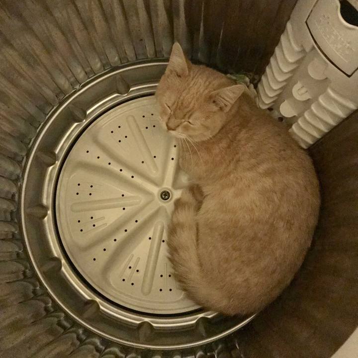 5bb0aba8 807c 4ef9 b544 0516a6975d0e 1516718437720