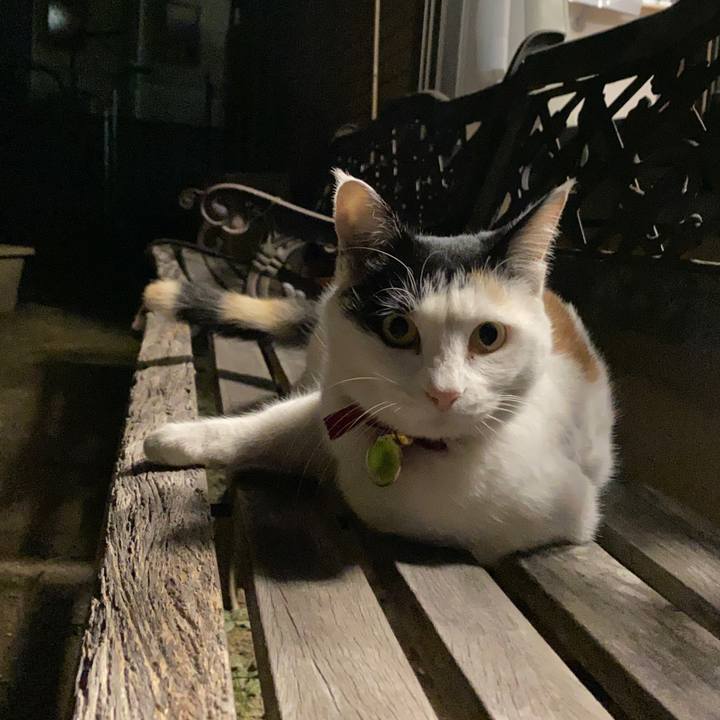 5bb10f5d b2b3 4b9a 9dcb 37b3cd8271ed 1640081318810