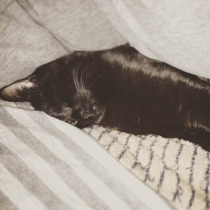 5bb163e9 0eae 4789 ba25 e61866441ebc 1517527389196