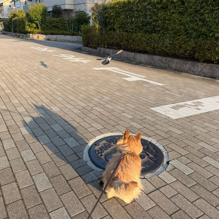 5bb17436 966c 45d4 9972 f76f1dddc777 1774384895114