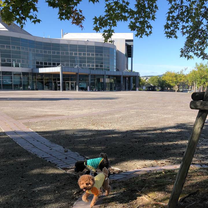 5bb17a76 0960 43ae bdaf 4182f397fc7f 1602126386840