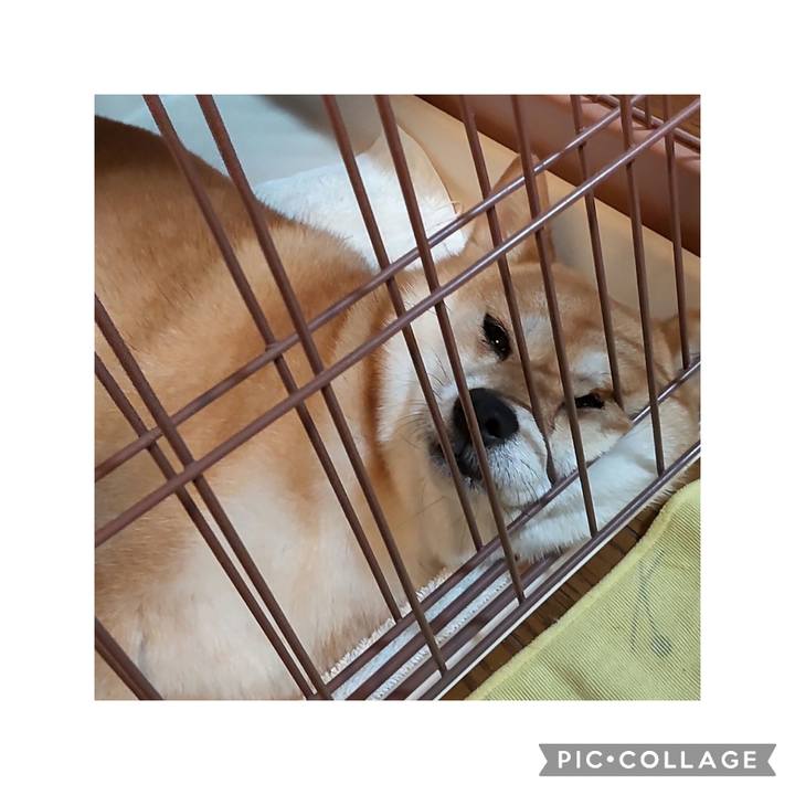 5bb1c227 d92c 400c afe6 b6f56b1c45a8 1721872097330