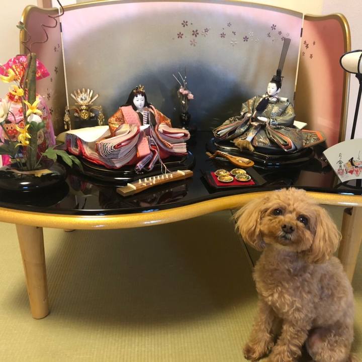 5bb1e856 d602 46b4 b4a7 5d5521b49ed8 1551620295330