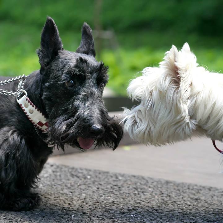 5bb209cc b5e9 4173 a0f2 779d8c872fba 1526857893275