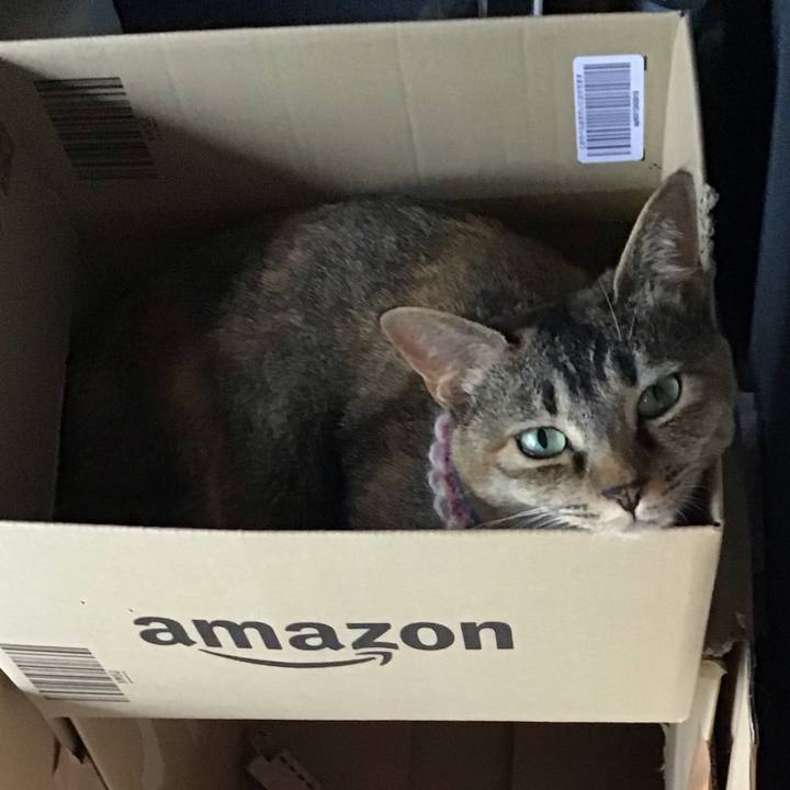 5bb2633f f1e6 482e a82d be233f2c0396 1624610373657