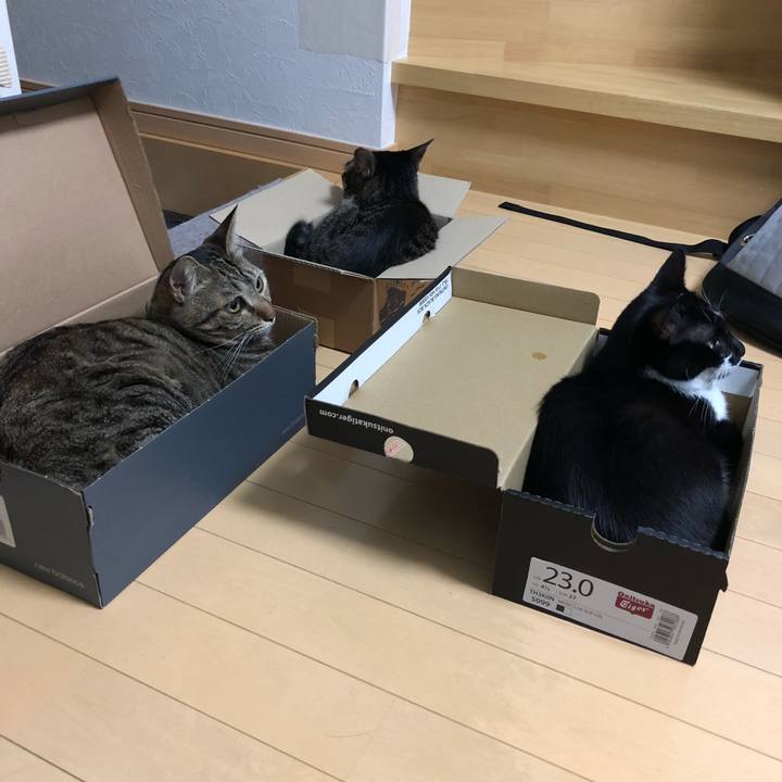 5bb26998 d26c 442e 94b4 44c3ea176f9d 1535490616935