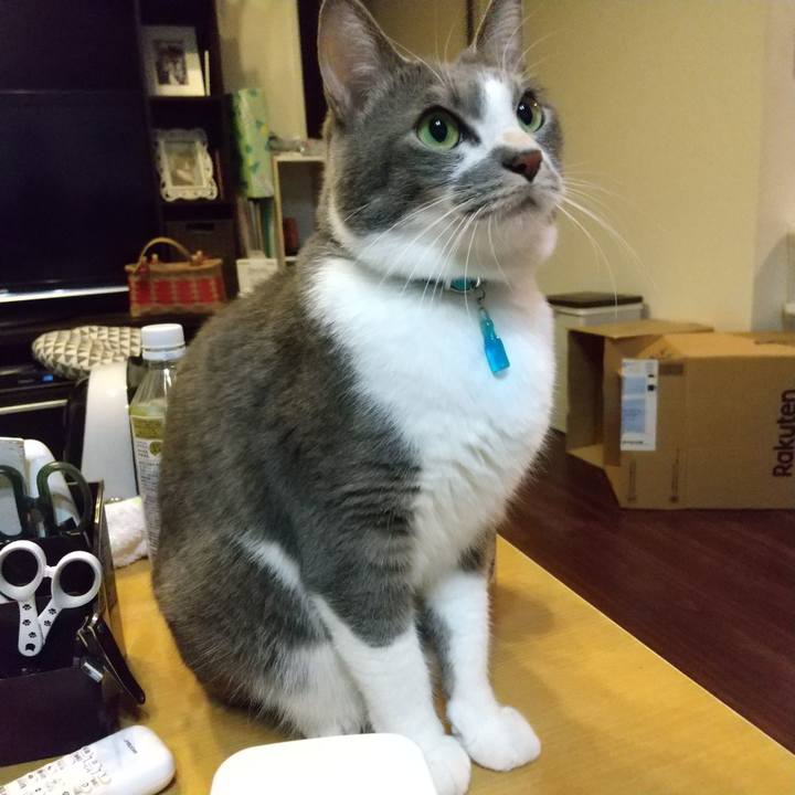 5bb296b8 0441 4517 938a 1e2e4196bb4b 1638452541955