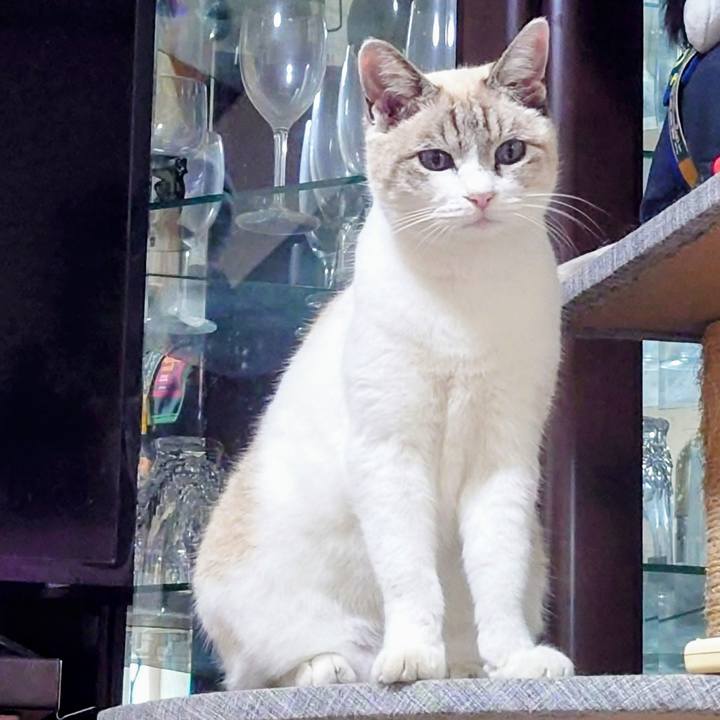 5bb2a1db 587e 455e b380 557d140e6d06 1762595643950