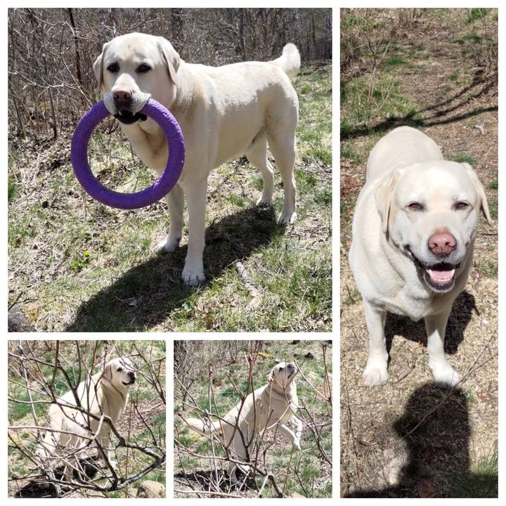 5bb2a55d 6afb 4409 87c6 bcc713560c24 1683090882474